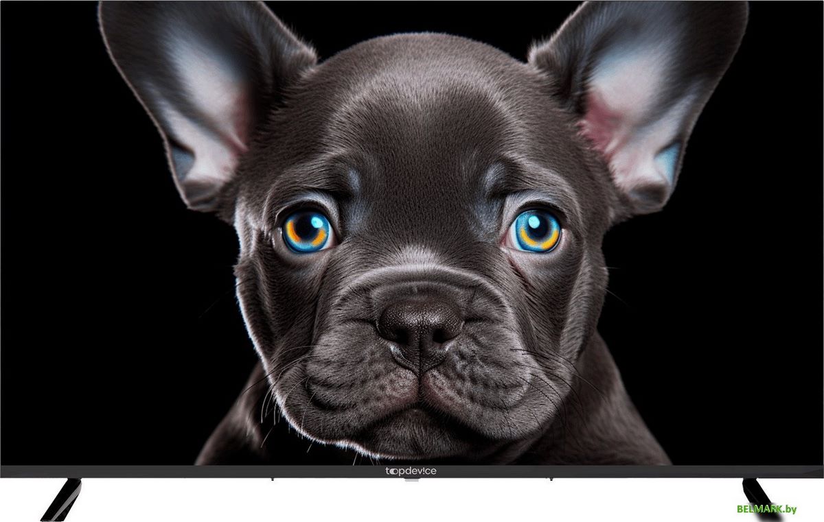 Телевизор Topdevice 43" 4K OS SALUTE TV (черный) - фото