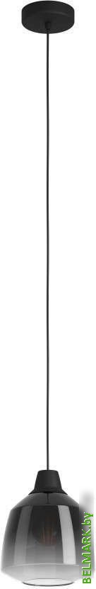 Подвесная люстра Eglo Sedbergh 43821 - фото