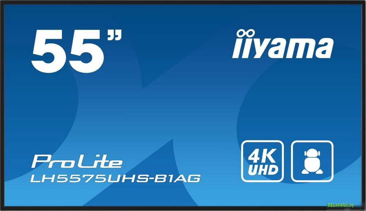 Информационная панель Iiyama ProLite LH5575UHS-B1AG - фото
