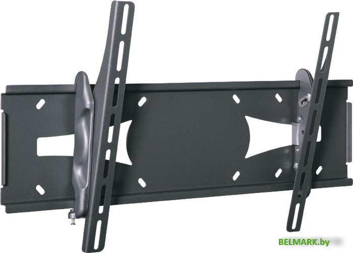 Кронштейн Holder PTS-4006 - фото