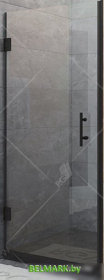 Душевая дверь RGW HO-011B 80 (черный/прозрачное стекло) - фото