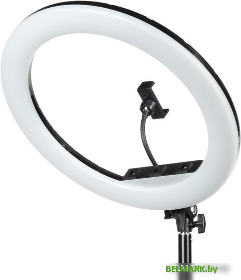 Кольцевая лампа Falcon Eyes BeautyLight 480RC LED - фото2