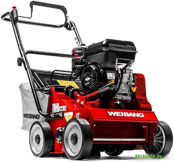 Скарификатор Weibang WB 384RB - фото