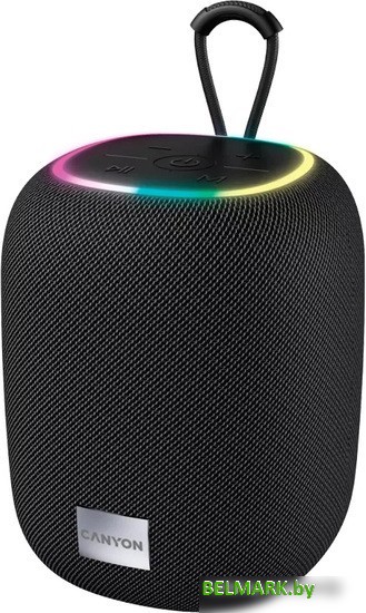 Беспроводная колонка Canyon BSP-8 (черный) - фото