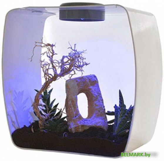 Террариум Lucky Reptile Life Box LB-35W (белый) - фото