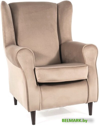Интерьерное кресло Signal Baron Velvet Bluvel 40 (темно-бежевый/венге) - фото