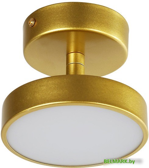 Припотолочная люстра Favourite 3059-1P - фото2