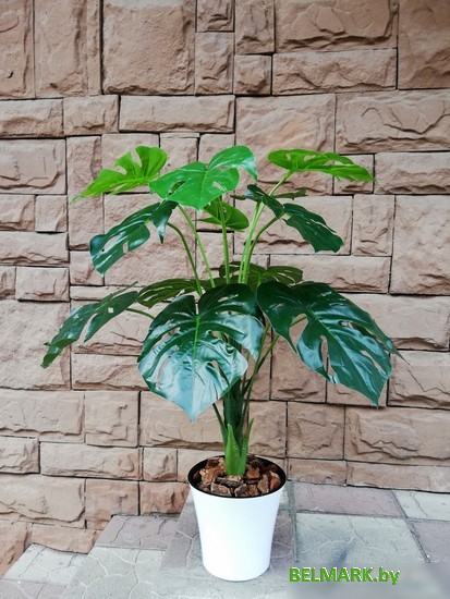 Искусственное растение Forgarden Монстера в белом горшке BN10740 - фото