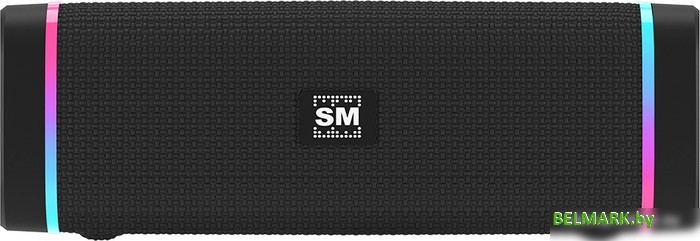 Беспроводная колонка Soundmax SM-PS5019B (черный) - фото