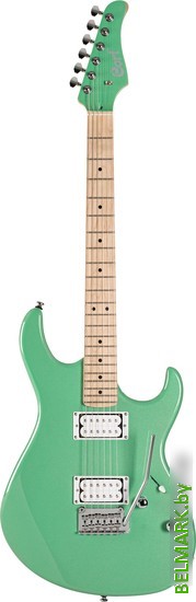 Электрогитара Cort G250 Spectrum MEG - фото