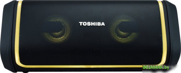 Беспроводная колонка Toshiba TY-WSP150 - фото