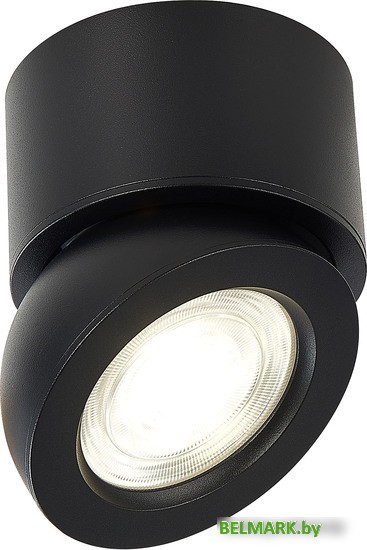 Спот ST Luce ST654 ST654.442.10 - фото