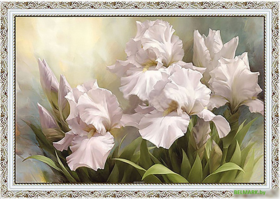 Картина Декарт Белые цветы ирисы 8Л0512 (в раме) - фото