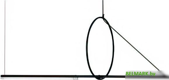 Подвесная люстра ST Luce Gaia SL6113.403.01 - фото