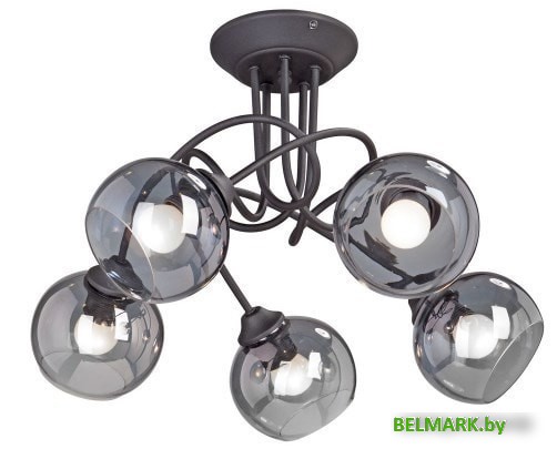 Люстра средней высоты Vitaluce V4309-1/5PL - фото