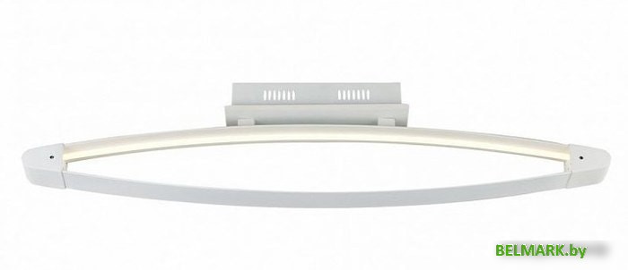 Припотолочная люстра ST Luce Orione SL920.102.01 - фото