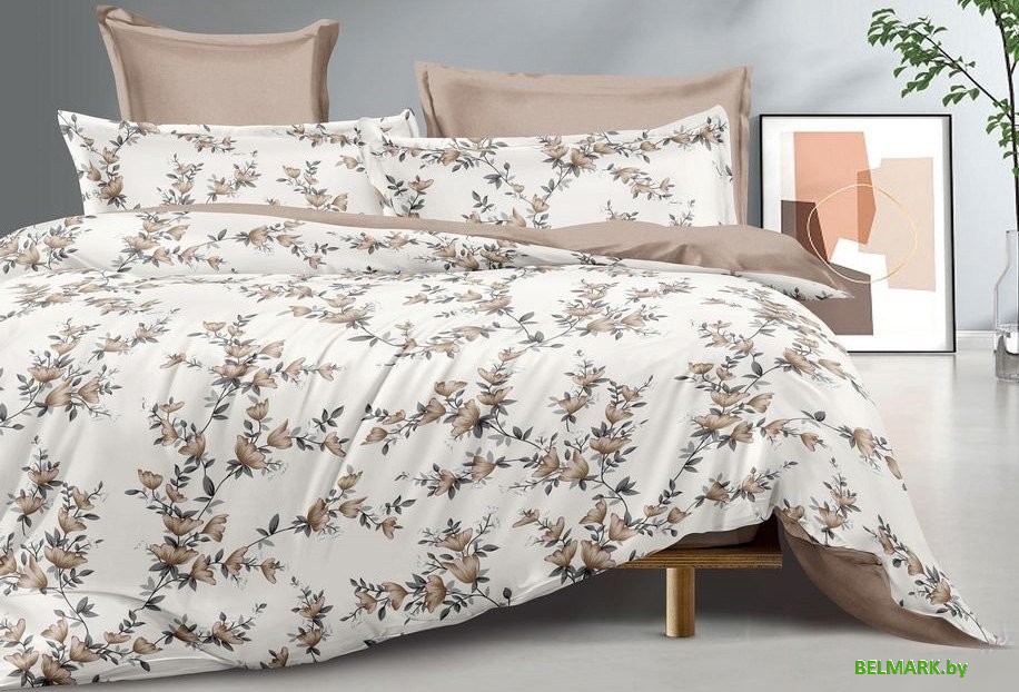 Постельное белье Реноме Евро Оливковая коллекция УУ 011 (поплин) - фото