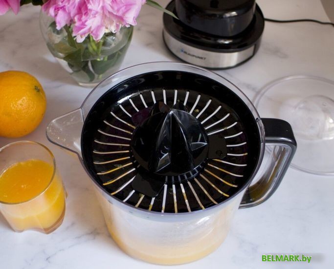 Соковыжималка Blaupunkt CJS601 - фото2