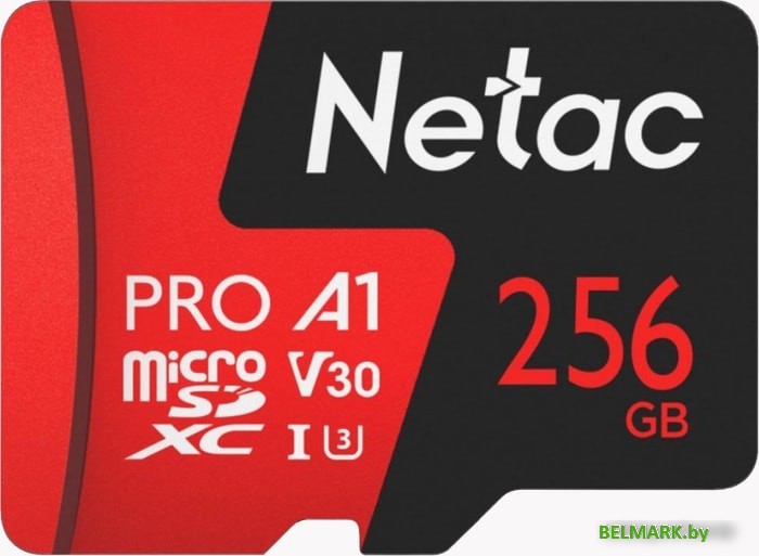 Карта памяти Netac P500 Extreme Pro 256GB NT02P500PRO-256G-S - фото