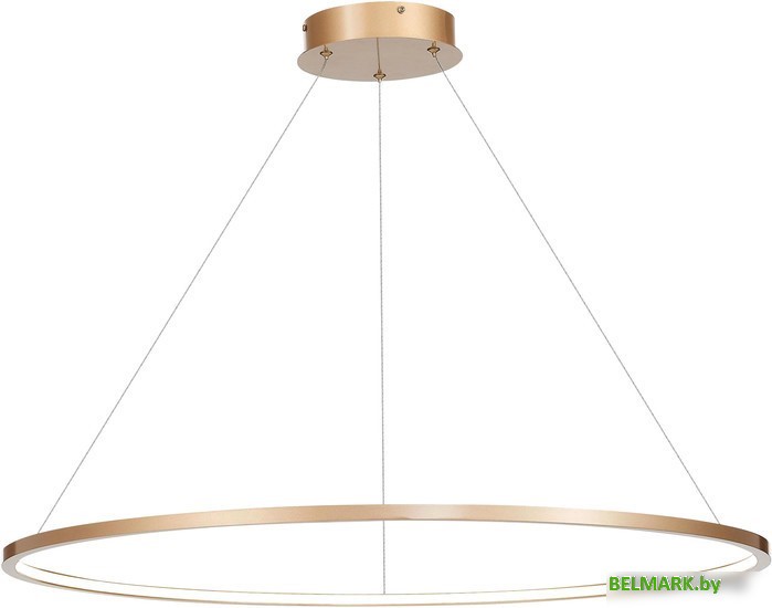 Подвесная люстра ST Luce St604 Out ST604.443.22 - фото