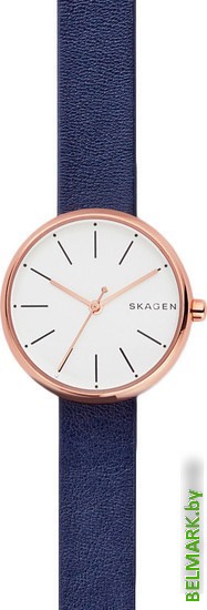 Наручные часы Skagen SKW2592 - фото