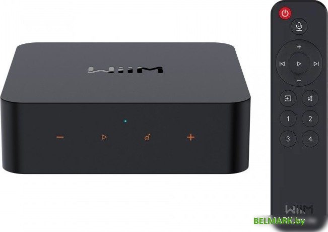 Сетевой проигрыватель WiiM Pro Plus - фото