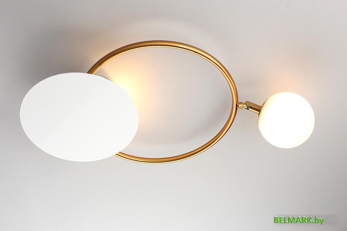 Подвесная люстра Aployt Elonora APL.306.11.02 - фото2