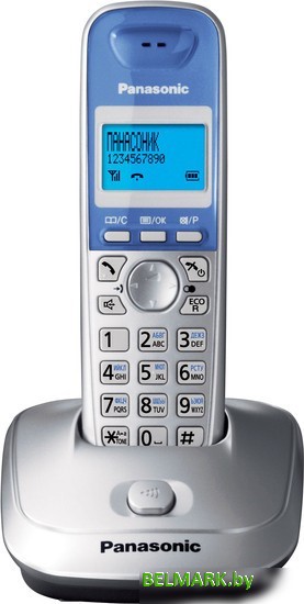 Радиотелефон Panasonic KX-TG2511RUS - фото