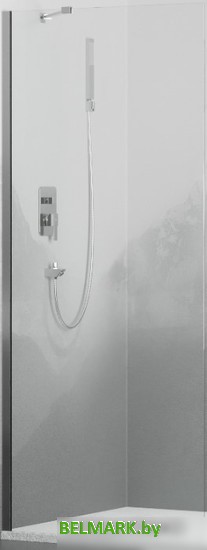 Душевая стенка RGW WA-102 351010210-11 100 (хром/прозрачное стекло) - фото