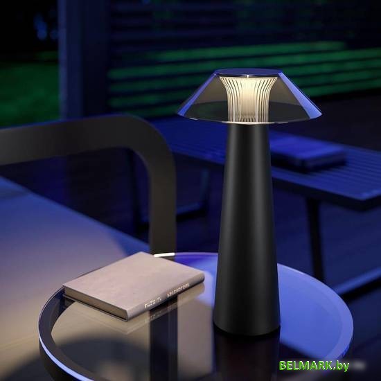 Настольная лампа Elektrostandard Future TL70200 (черный) - фото2