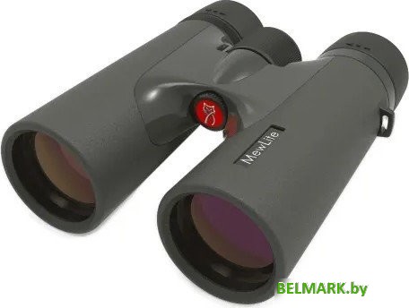 Бинокль Mewlite Eternals Pro 8x42 ED Roof - фото