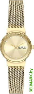 Наручные часы Skagen SKW3110 - фото