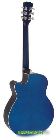 Акустическая гитара Elitaro E4020 BLS - фото2
