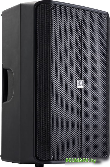 Активная акустика Audiophony NOVA-15A - фото