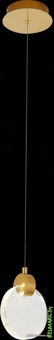 Подвесная люстра ST Luce Montecelio SL6104.203.01 - фото