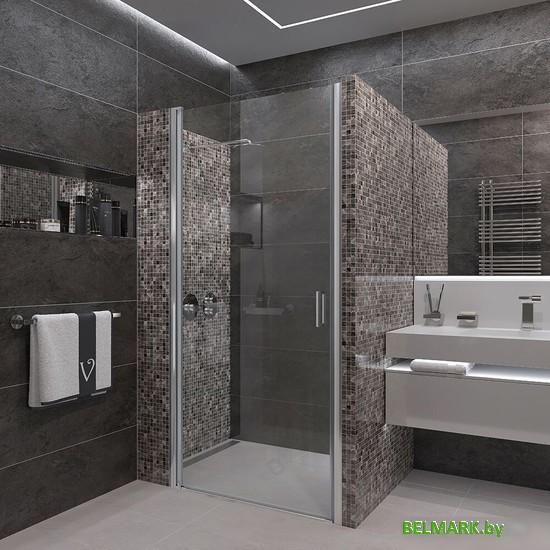 Душевая дверь Veconi VN-43 VN43-80-01-C5 - фото