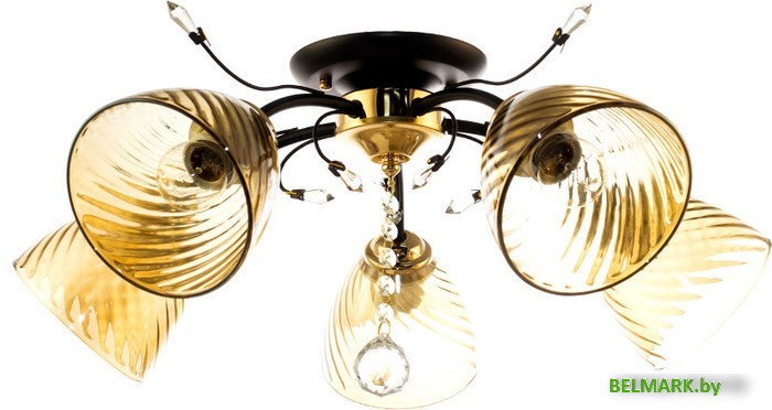 Припотолочная люстра Aitin Pro N4526/5 - фото