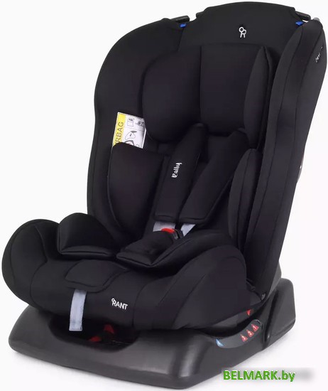 Детское автокресло Rant Basic Rally ZY19 (черный) - фото