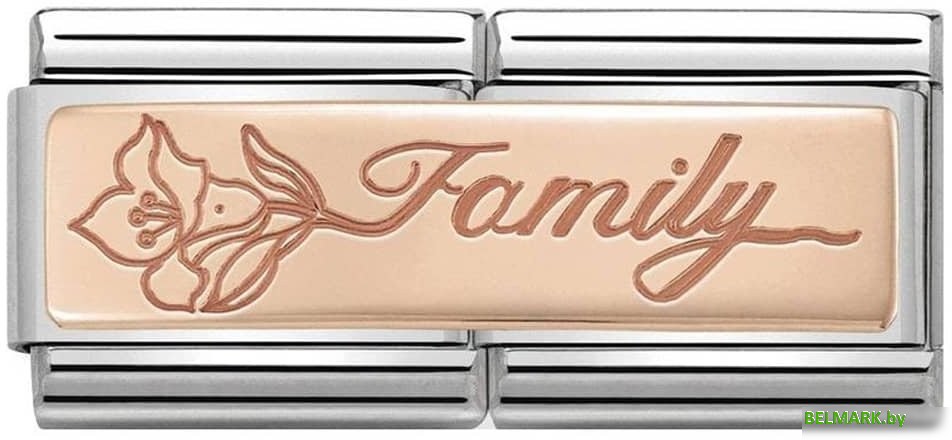 Звено для браслета NominatioN Семья 430710/17 - фото