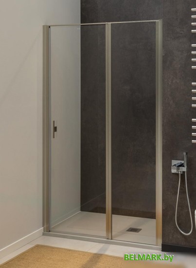 Душевая дверь Allen Brau Priority 3.31011.BA - фото