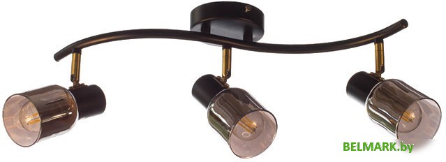 Люстра Aitin Pro НПБ 02-3x60-102 51976/3 (бронза/черный) - фото2