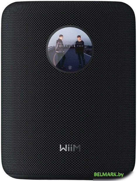 Беспроводная аудиосистема WiiM Sound (черный) - фото2