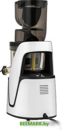 Соковыжималка 4Swiss Swan BM 225 (белый) - фото