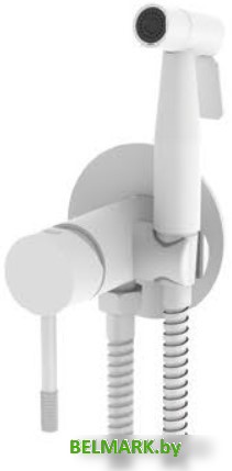 Гигиенический душ Vieir 403553-F - фото