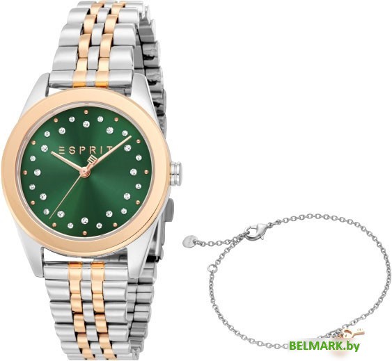 Наручные часы Esprit ES1L404M0065 - фото