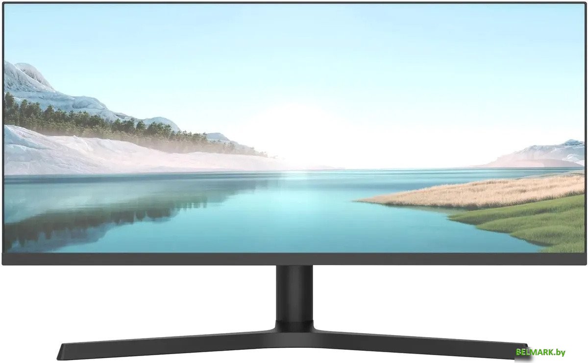 Игровой монитор NPC MZ300L - фото