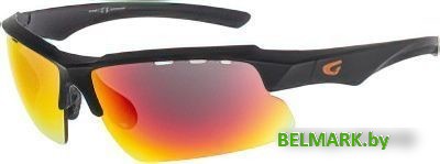 Солнцезащитные очки GOG E579-2 (черный матовый) - фото