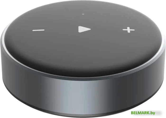 Сетевой аудиоадаптер WiiM Mini - фото