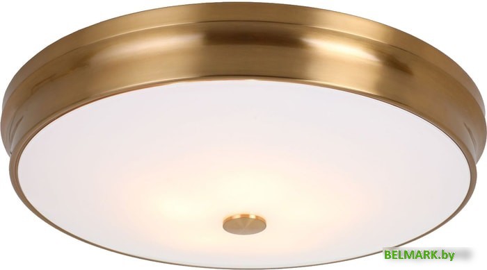 Припотолочная люстра Favourite Pannikin 2375-5C - фото