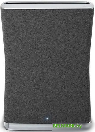 Очиститель воздуха Stadler Form Roger little (черный) - фото